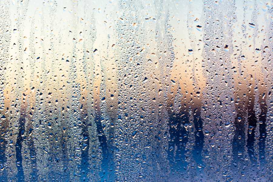 Read more about the article Condensation: What Causes It & How To Cure It
