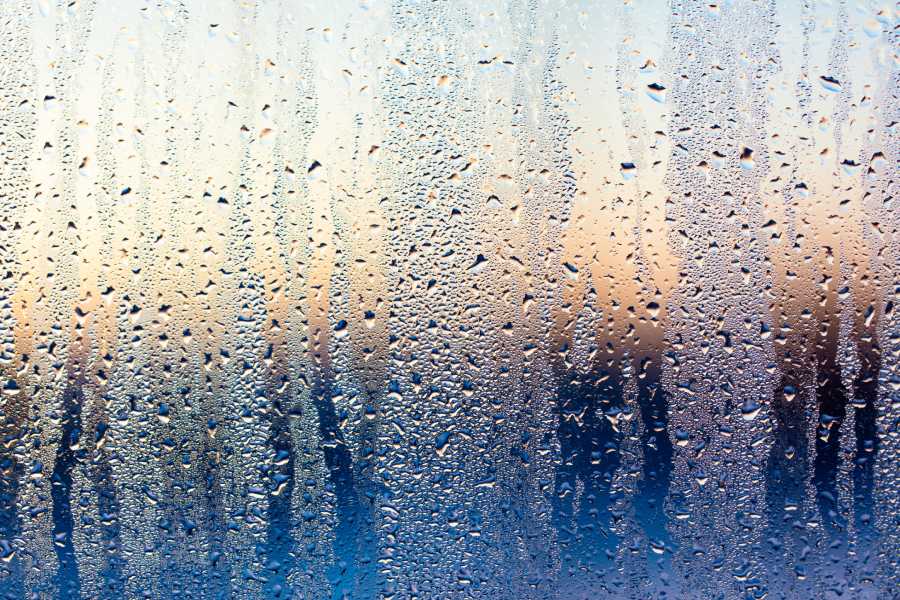 Condensation on Windows: Why It Occurs & if You Should Worry