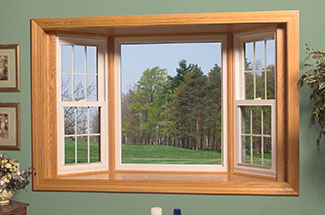 Read more about the article Bay Window