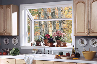 Read more about the article Garden Window